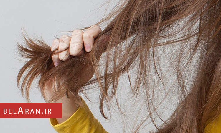 جلوگیری از خشکی مو با روش های طبیعی - بلاران