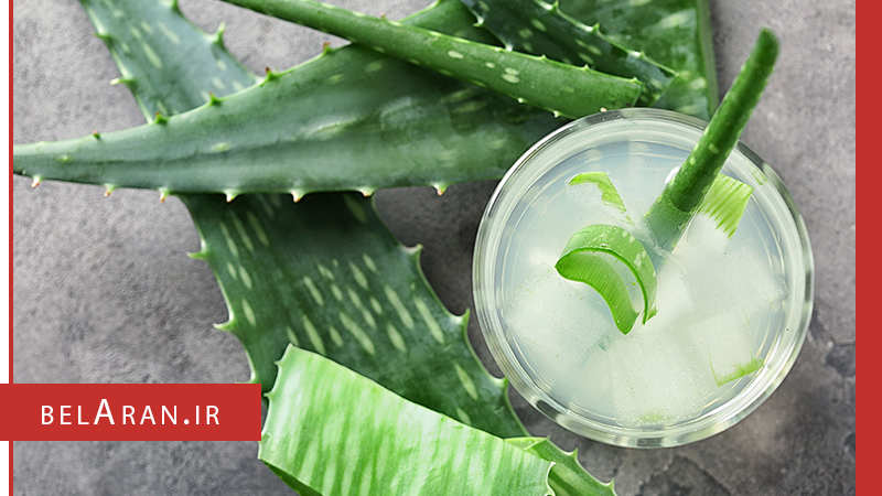 ساخت لوسیون بدن خانگی و طرز استفاده از آن ها - بلاران