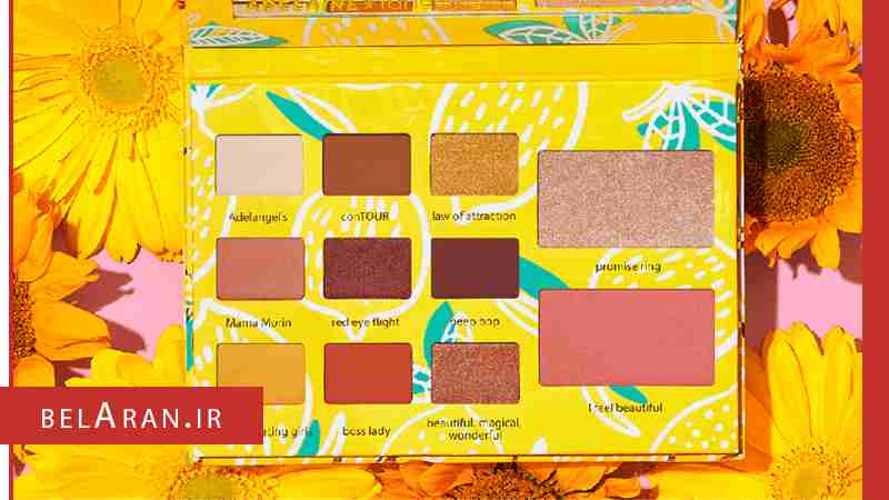 پالت سایه ادلاین تارت بلاران Tarte Adelaine Morin Eye & Cheek Eyeshadow Face Palette