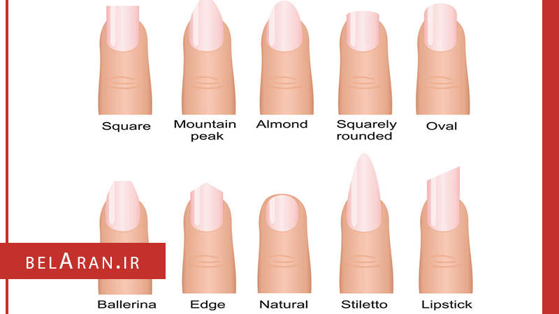 انواع مدل های ناخن و شناخت بیشتر آن ها - بلاران