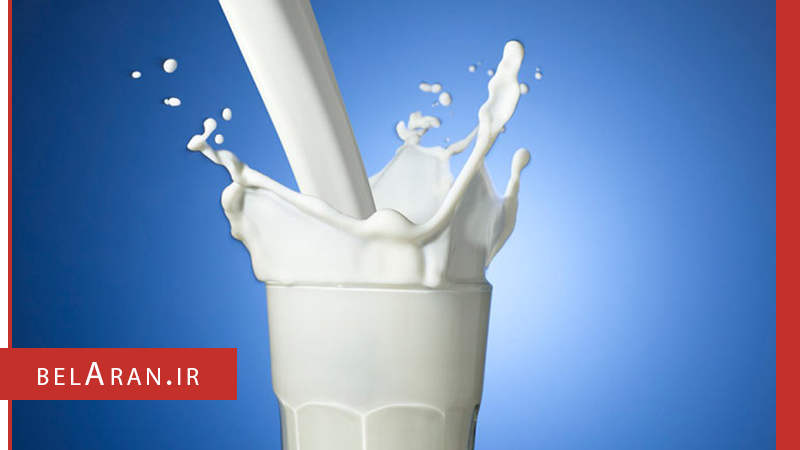 شیر - بلاران