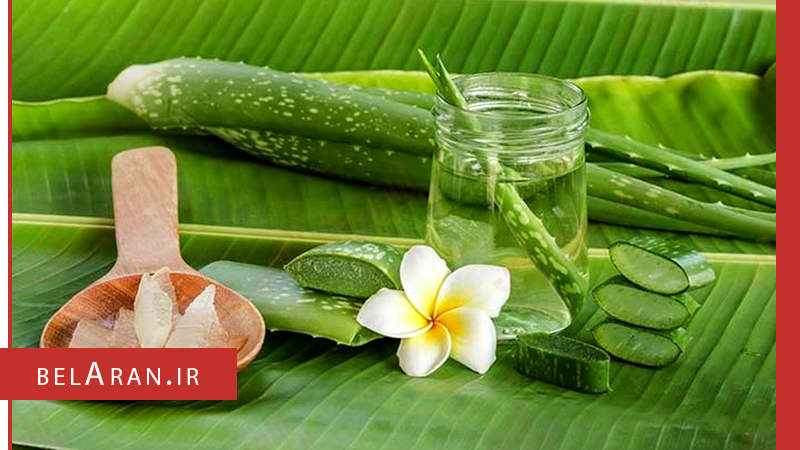 روش های جالب برای وز نشدن موها و از بین بردن آن - بلاران